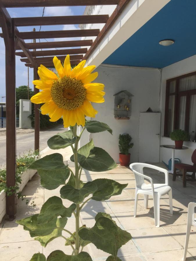 Villa Bonatsa Andros Home Mpatsi Buitenkant foto