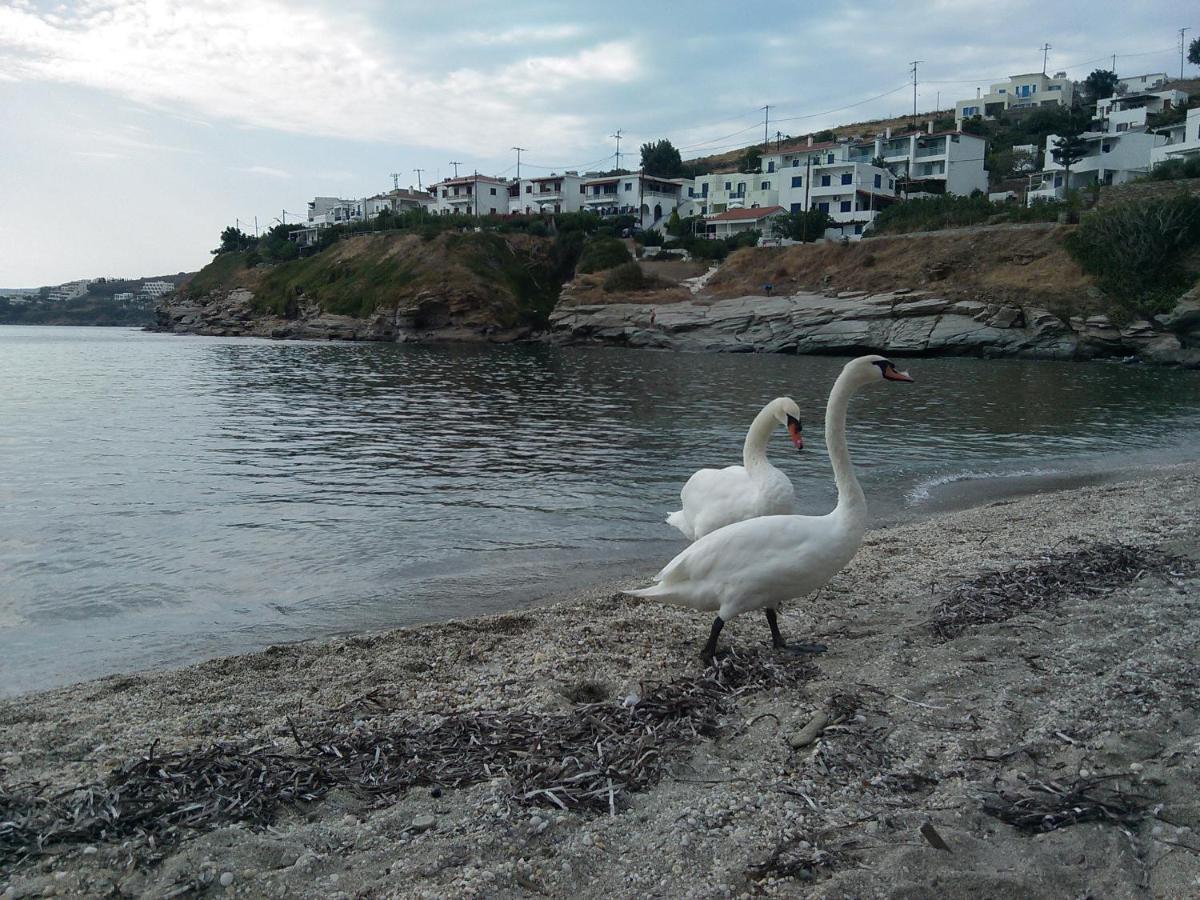 Villa Bonatsa Andros Home Mpatsi Buitenkant foto
